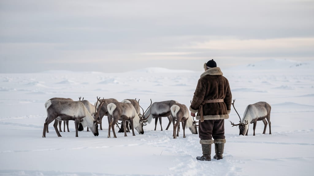 Das Echo der Rentiere: Sámi-Rechte im Griff des Fortschritts (KI-generiertes Symbolbild)